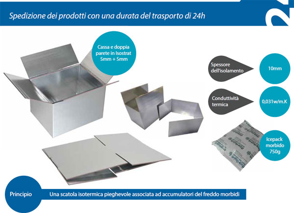 scatole isotermiche per il trasporto entro le 24h